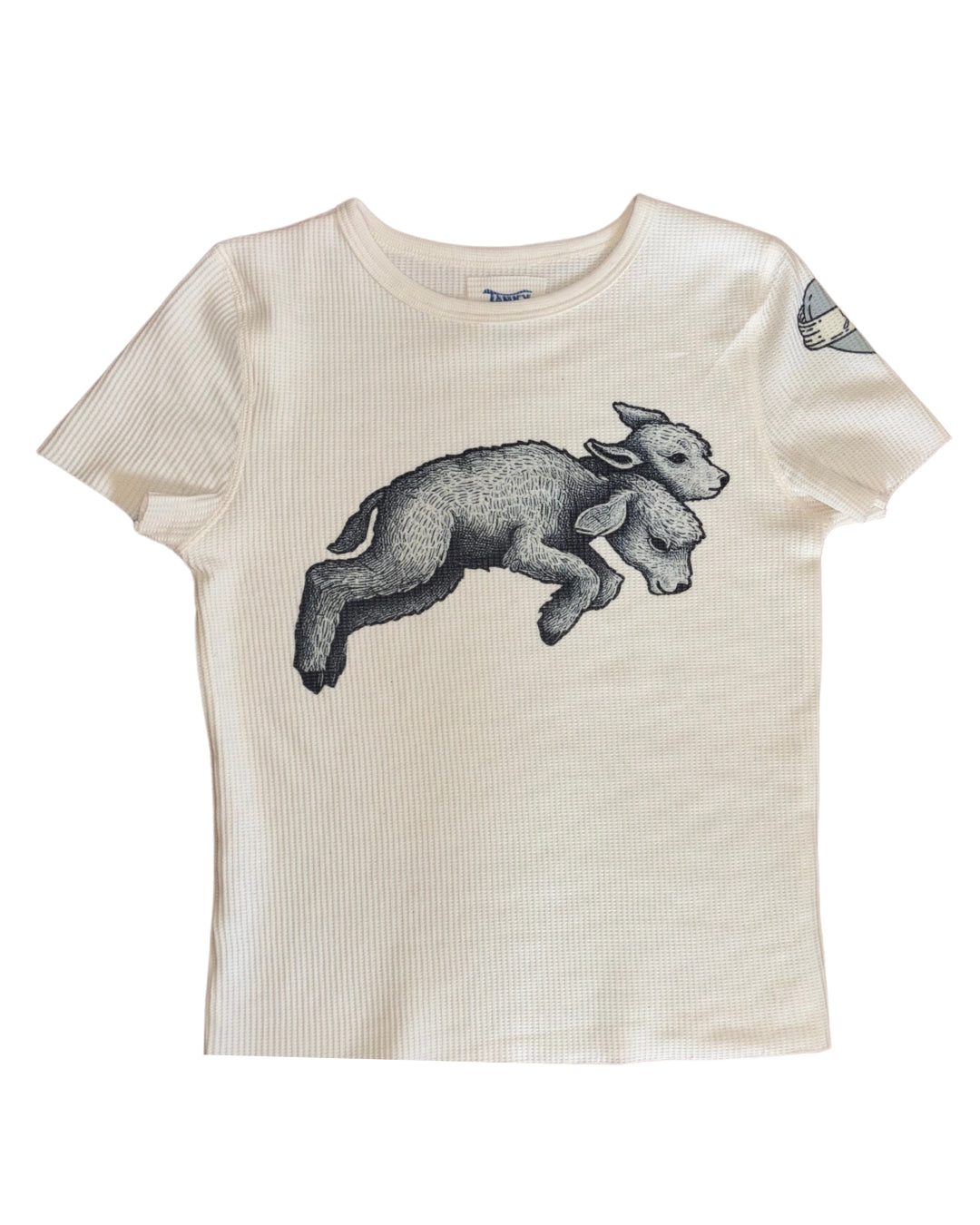 Simple Newborn Tee