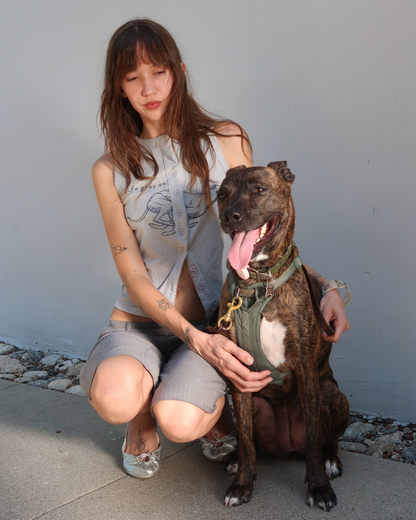 Greyhound Tank