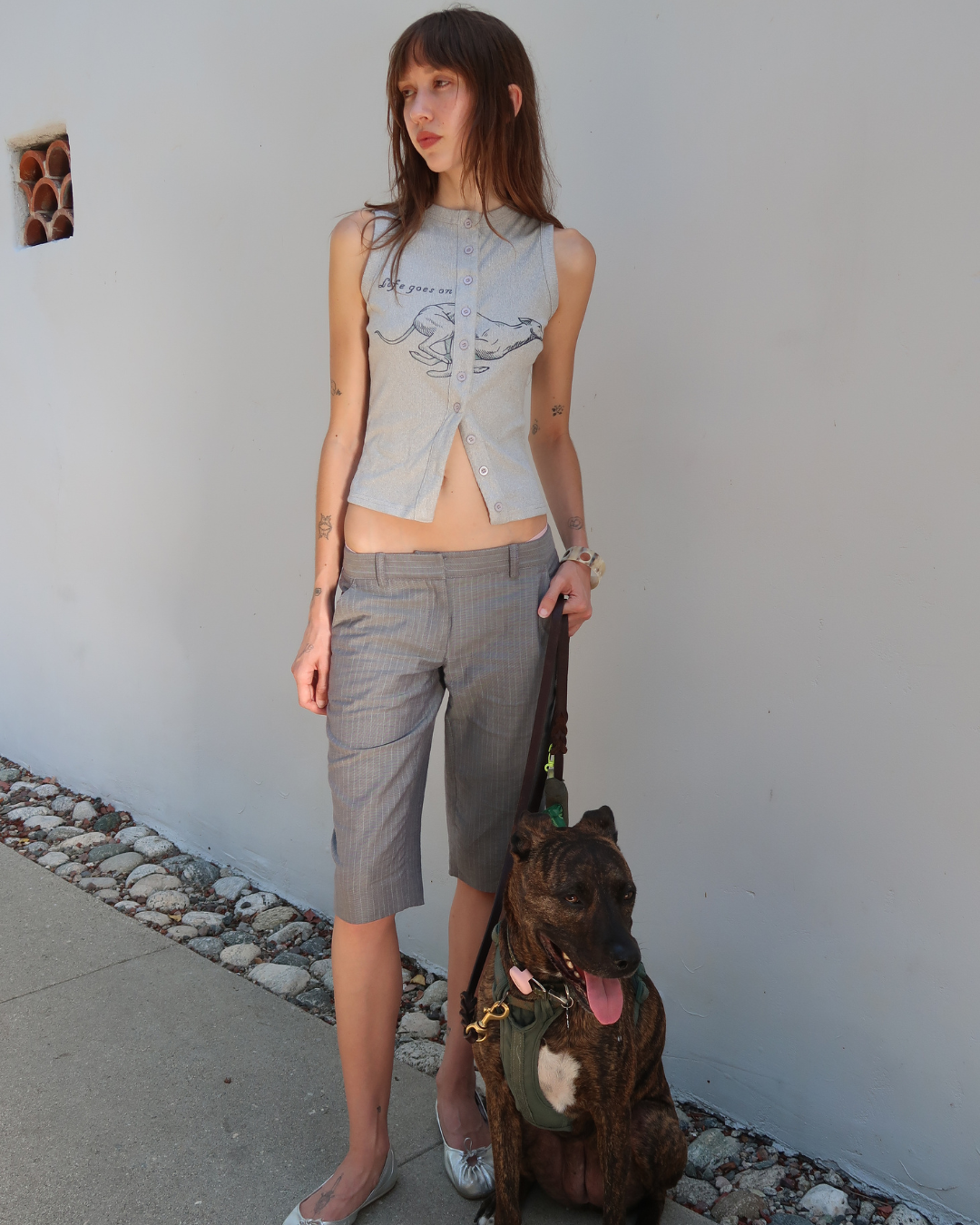 Greyhound Tank